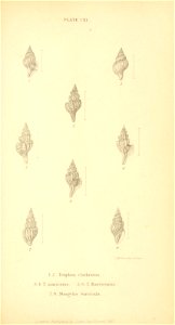 n538_w1150