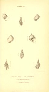 n518_w1150