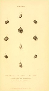 n488_w1150