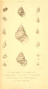 n458_w1150