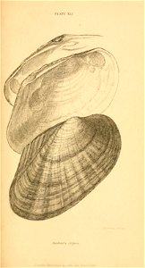 n398_w1150