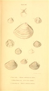 n368_w1150