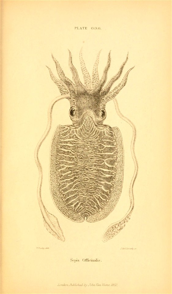n682_w1150