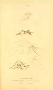 n622_w1150