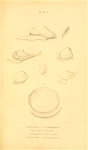 n592_w1150
