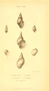 n564_w1150
