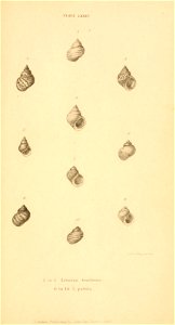 n486_w1150