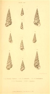 n456_w1150