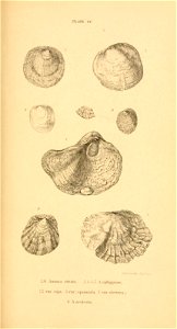 n426_w1150