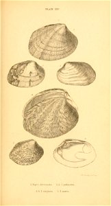 n366_w1150