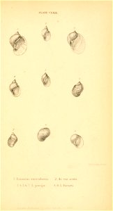 n562_w1150