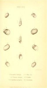 n514_w1150