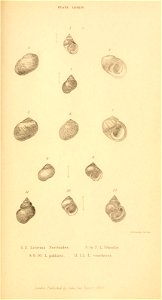 n484_w1150