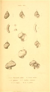 n454_w1150