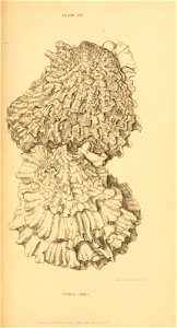 n424_w1150