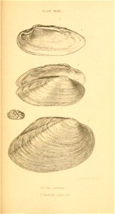 n394_w1150