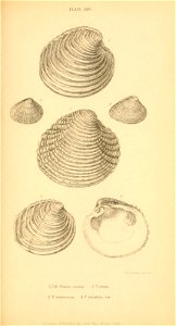 n364_w1150