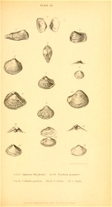n334_w1150