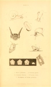 n618_w1150