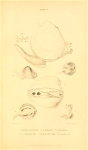 n588_w1150