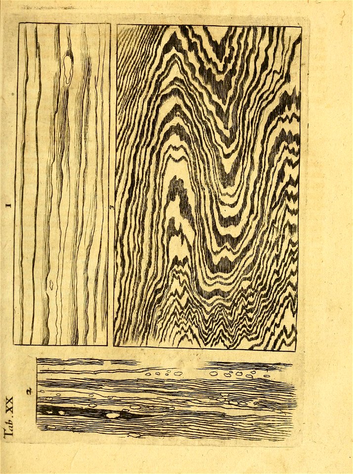 n88_w1150