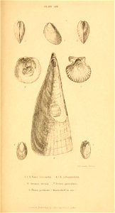 n422_w1150