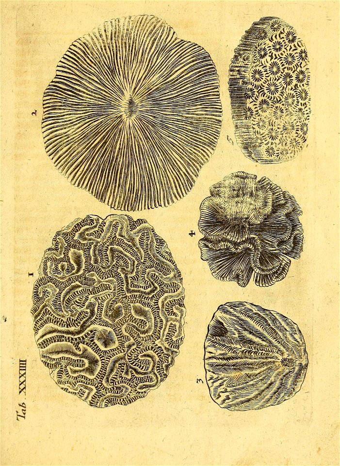 n156_w1150