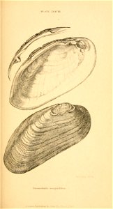 n392_w1150