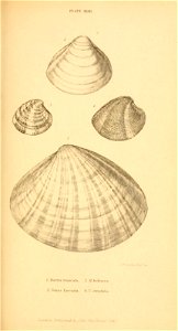 n362_w1150