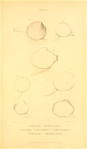 n586_w1150