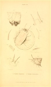 n614_w1150