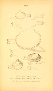 n584_w1150