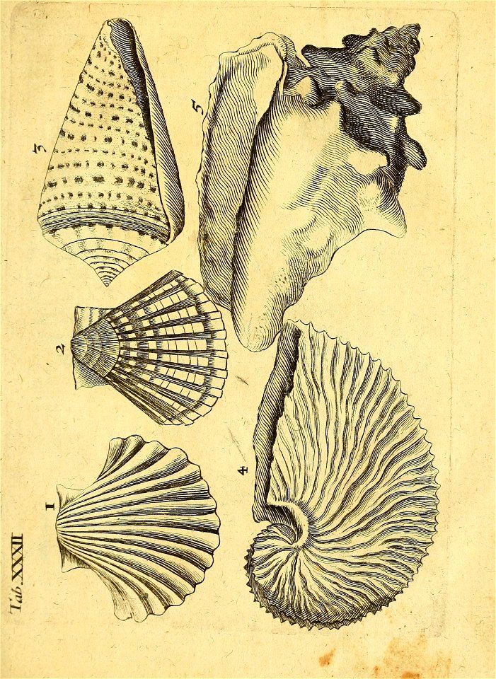 n144_w1150