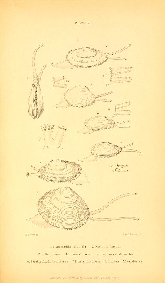 n582_w1150