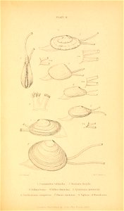 n582_w1150
