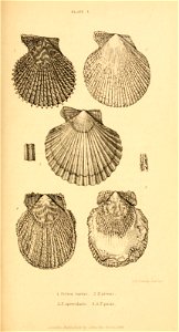 n416_w1150