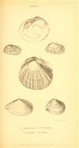 n356_w1150