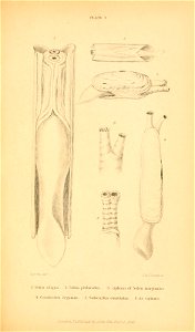 n580_w1150