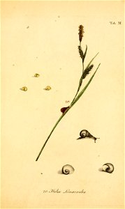 n162_w1150