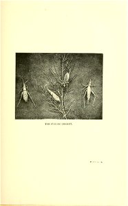 n162_w1150