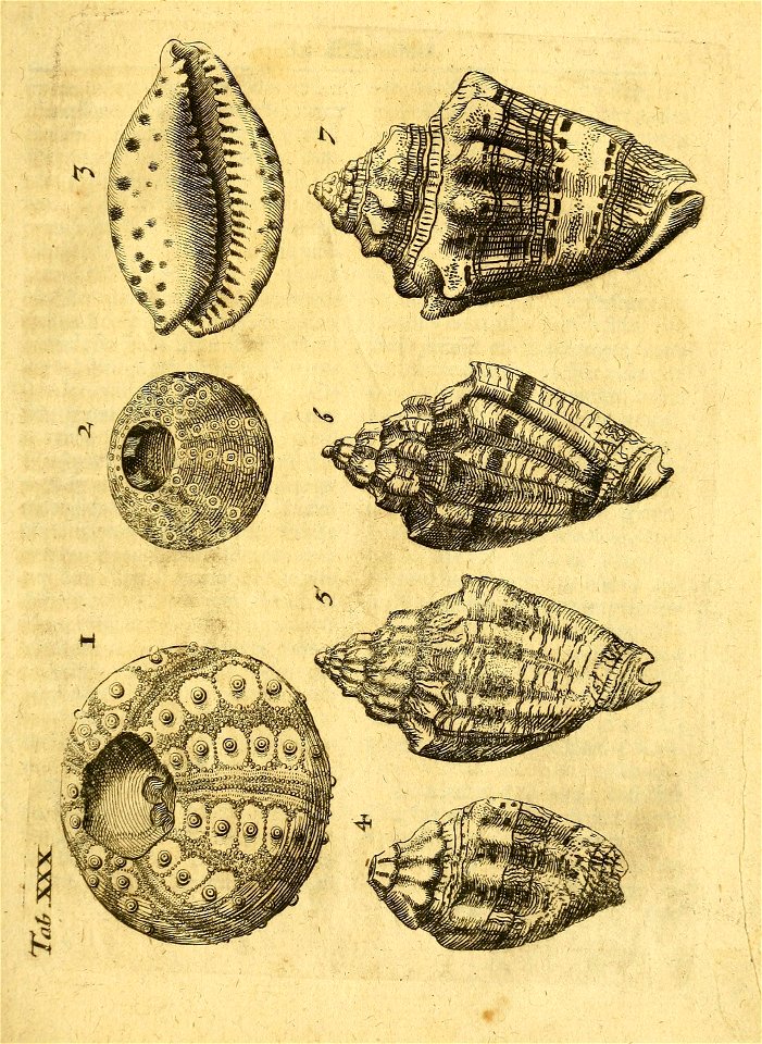 n138_w1150
