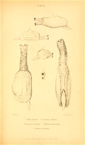 n578_w1150