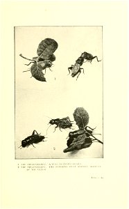 n152_w1150