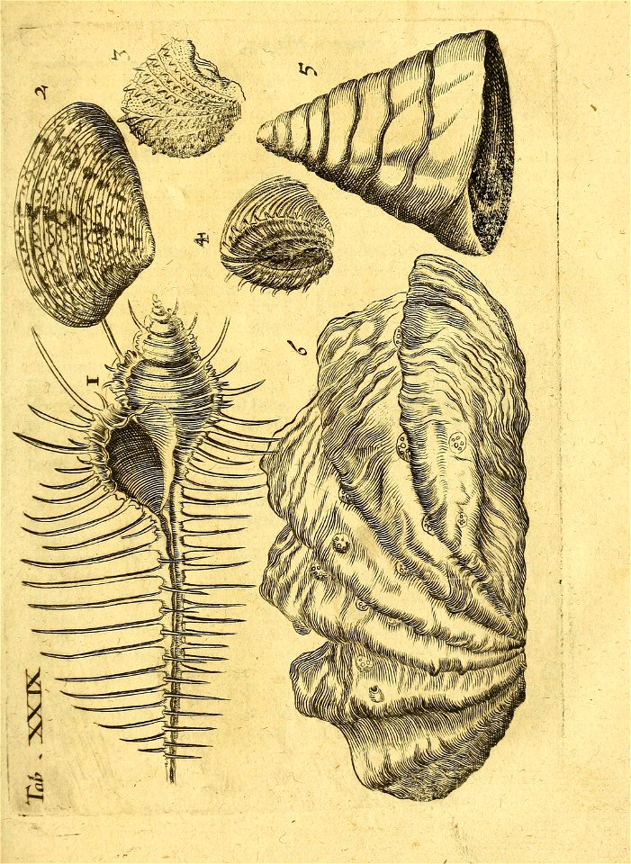 n128_w1150