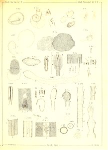 n462_w1150