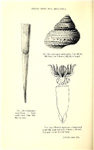 n403_w1150