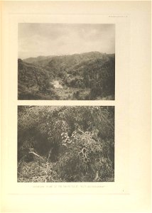 n308_w1150