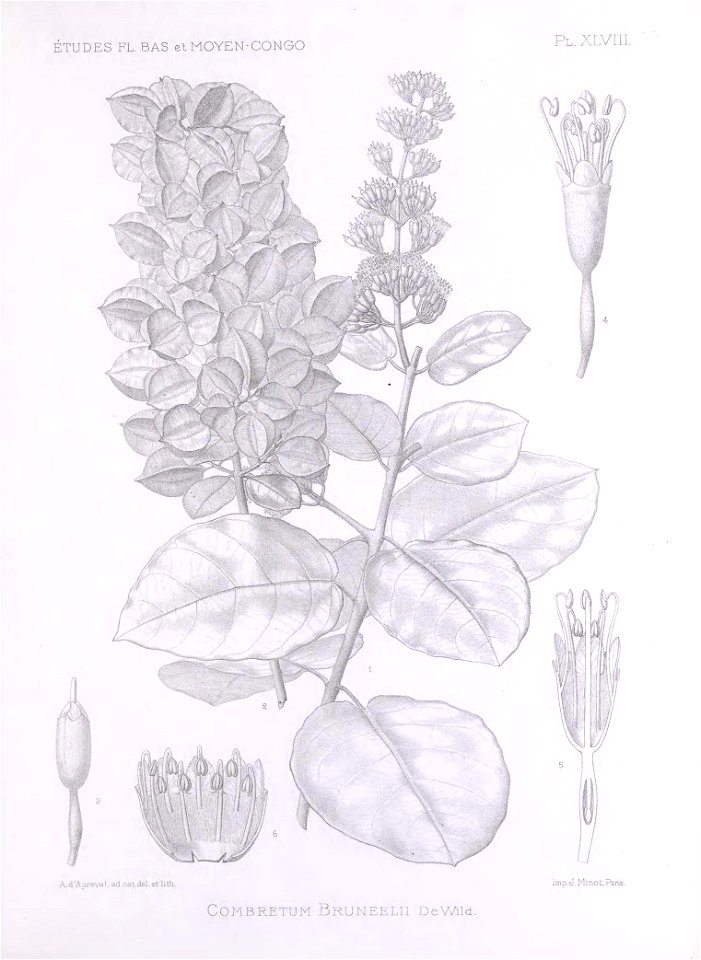 n434_w1150