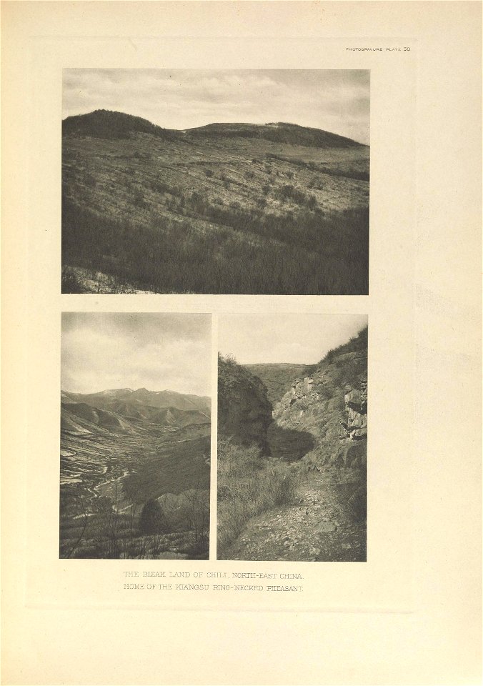 n254_w1150