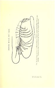 n190_w1150